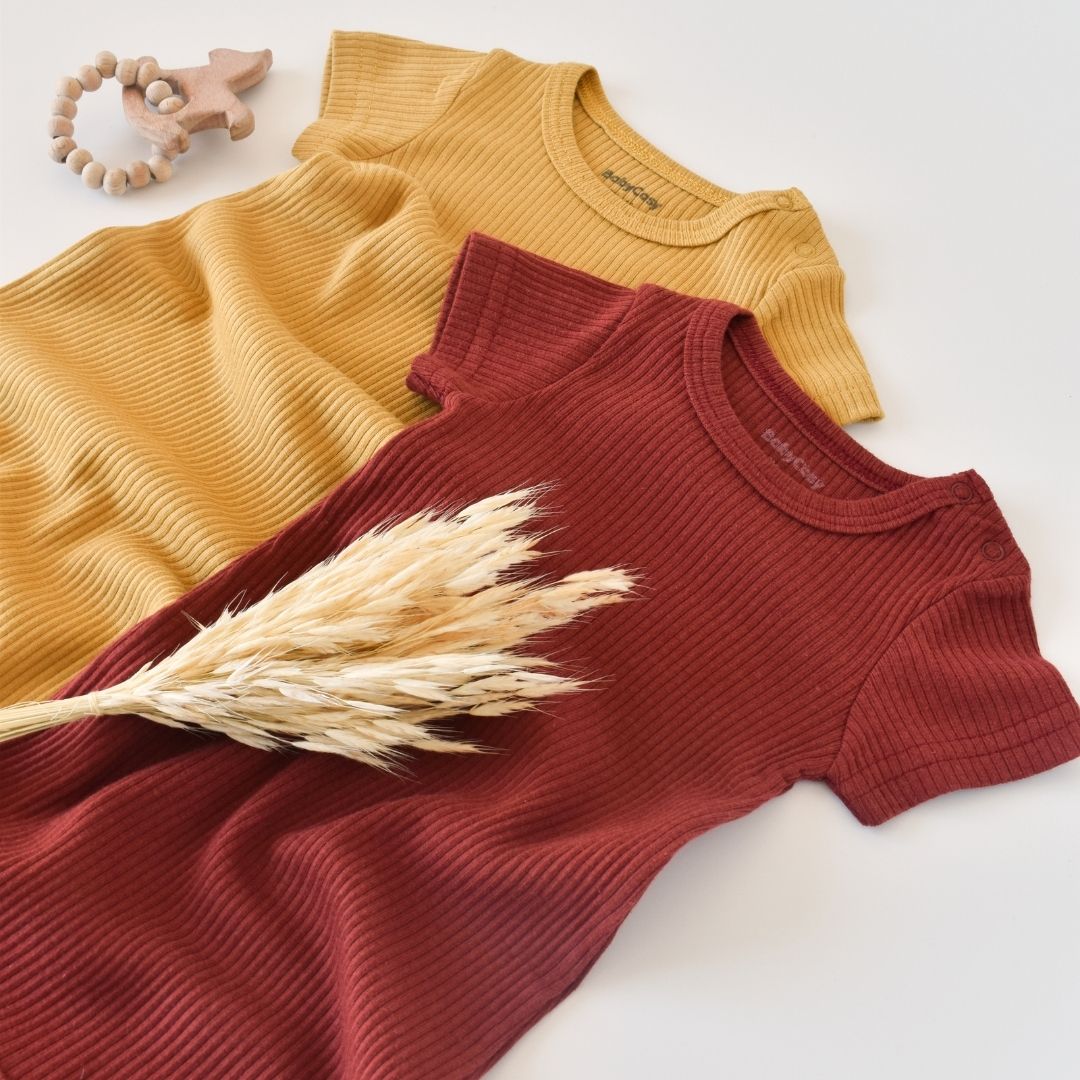 MODAL Pack of 2 Short-sleeved rompers