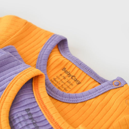 BACK Pack of 2 Short-sleeved bodysuits% 95 Organic Cotton - 5% Elastane